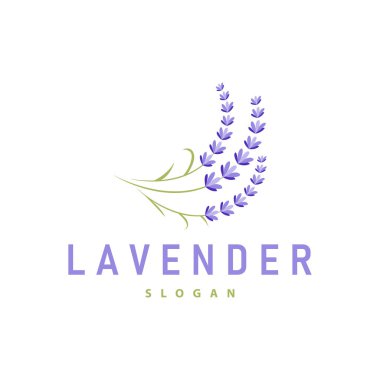 Lavanta Logosu Mor Çiçek Bitkisi İllüstrasyon Çiçek Süslemesi Tasarımı