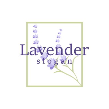 Lavanta Logosu Mor Çiçek Bitkisi İllüstrasyon Çiçek Süslemesi Tasarımı