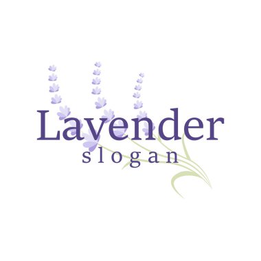 Lavanta Logosu Mor Çiçek Bitkisi İllüstrasyon Çiçek Süslemesi Tasarımı