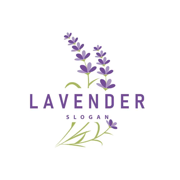 Logotipo Lavanda Elegante Flor Púrpura Planta Ilustración Diseño Ornamento Floral Gráficos vectoriales