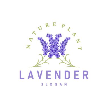 Lavanta Logosu Mor Çiçek Bitkisi İllüstrasyon Çiçek Süslemesi Tasarımı