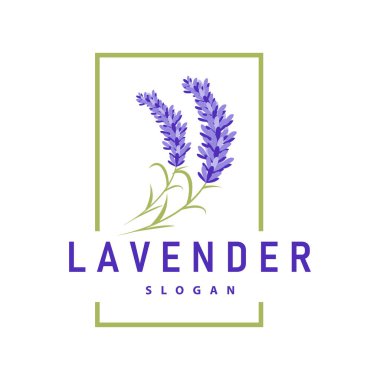 Lavanta Logosu Mor Çiçek Bitkisi İllüstrasyon Çiçek Süslemesi Tasarımı