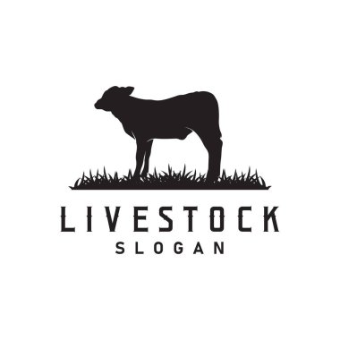 Çiftlik hayvanları logosu, Fram Bahçesi Tasarımı, İnek Logosu Vektör Rozeti Uzun Boynuzlu Boğa Sığır Vintage Şablonu