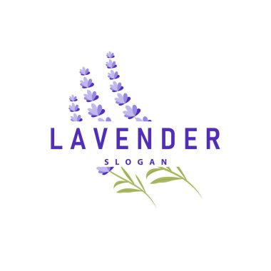 Lavanta Logosu Mor Çiçek Bitkisi İllüstrasyon Çiçek Süslemesi Tasarımı