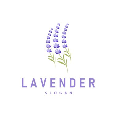 Lavanta Logosu Mor Çiçek Bitkisi İllüstrasyon Çiçek Süslemesi Tasarımı