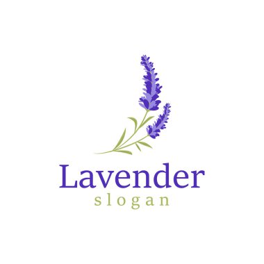 Lavanta Logosu Mor Çiçek Bitkisi İllüstrasyon Çiçek Süslemesi Tasarımı