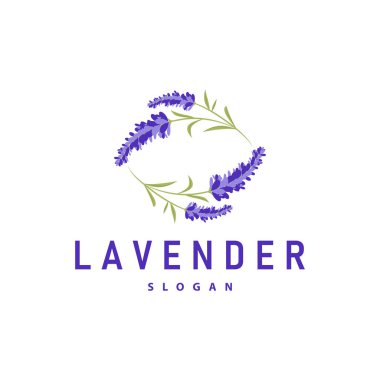Lavanta Logosu Mor Çiçek Bitkisi İllüstrasyon Çiçek Süslemesi Tasarımı