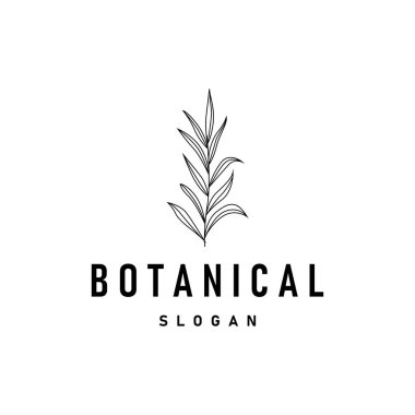 İllüstrasyon doğa logo yaprağı botanik basit organik güzel el çizimi minimalist bitki