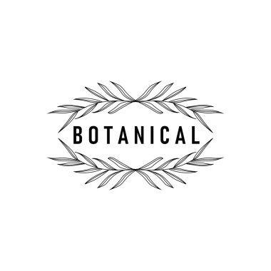 İllüstrasyon doğa logo yaprağı botanik basit organik güzel el çizimi minimalist bitki