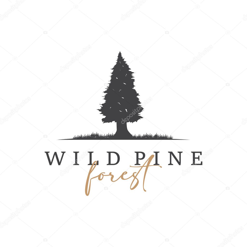 Natural beauty forest concept design with beautiful forest logo and dense trees, fresh natural atmosphere, illustration of product business brand symbol template