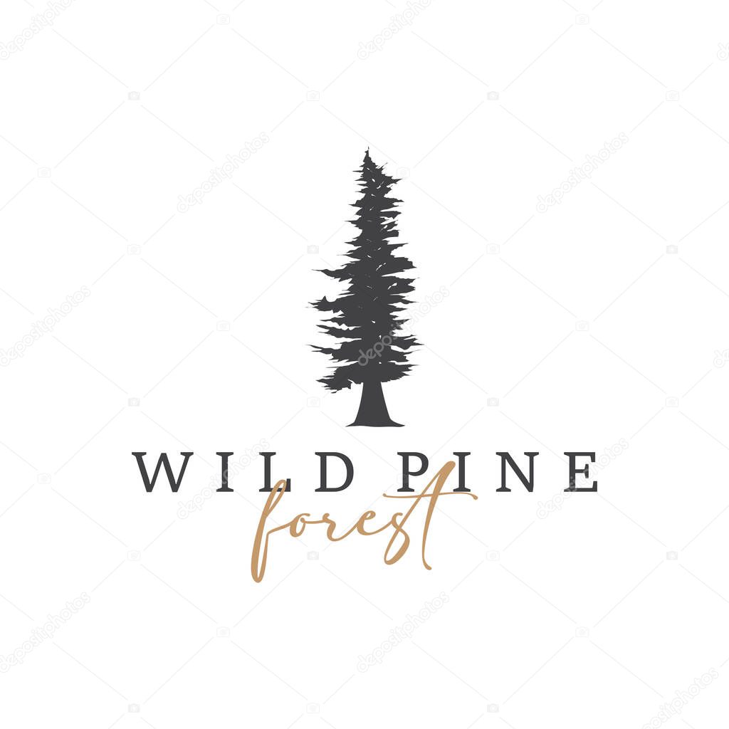Natural beauty forest concept design with beautiful forest logo and dense trees, fresh natural atmosphere, illustration of product business brand symbol template