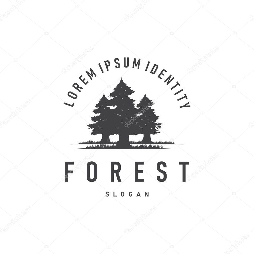 Natural beauty forest concept design with beautiful forest logo and dense trees, fresh natural atmosphere, illustration of product business brand symbol template