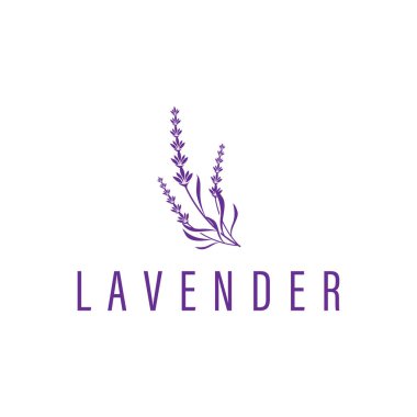Lavanta çiçeği tasarımı, lavanta logosu konsepti, sağlık ve parfüm için aromaterapi bitkisi, bir iş ürünü markasının sembolü olan modern sadelik, ayrıca bir poster veya marka örnekleme şablonu.