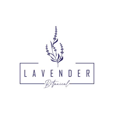 Lavanta çiçeği tasarımı, lavanta logosu konsepti, sağlık ve parfüm için aromaterapi bitkisi, bir iş ürünü markasının sembolü olan modern sadelik, ayrıca bir poster veya marka örnekleme şablonu.