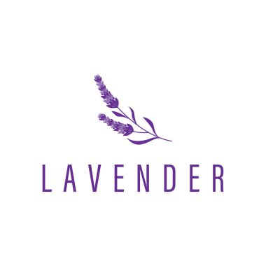 Lavanta çiçeği tasarımı, lavanta logosu konsepti, sağlık ve parfüm için aromaterapi bitkisi, bir iş ürünü markasının sembolü olan modern sadelik, ayrıca bir poster veya marka örnekleme şablonu.