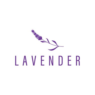 Lavanta çiçeği tasarımı, lavanta logosu konsepti, sağlık ve parfüm için aromaterapi bitkisi, bir iş ürünü markasının sembolü olan modern sadelik, ayrıca bir poster veya marka örnekleme şablonu.