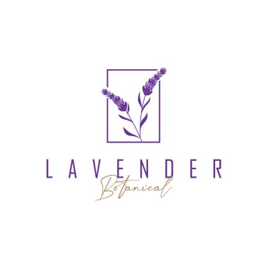 Lavanta çiçeği tasarımı, lavanta logosu konsepti, sağlık ve parfüm için aromaterapi bitkisi, bir iş ürünü markasının sembolü olan modern sadelik, ayrıca bir poster veya marka örnekleme şablonu.