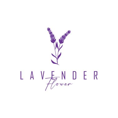 Lavanta çiçeği tasarımı, lavanta logosu konsepti, sağlık ve parfüm için aromaterapi bitkisi, bir iş ürünü markasının sembolü olan modern sadelik, ayrıca bir poster veya marka örnekleme şablonu.
