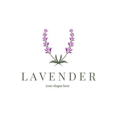 Lavanta Logosu, Basit Mor Çiçek Bitki Vektörü, Kutlama Kartı Tasarımı, Banner, Çiçek Süslemesi, Lavantalı El Çizimi Düğünü, Simge Simgesi İllüstrasyonu