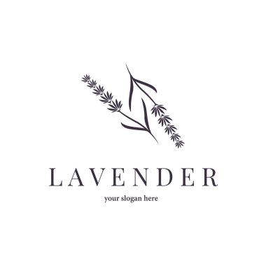 Lavanta Logosu, Basit Mor Çiçek Bitki Vektörü, Kutlama Kartı Tasarımı, Banner, Çiçek Süslemesi, Lavantalı El Çizimi Düğünü, Simge Simgesi İllüstrasyonu