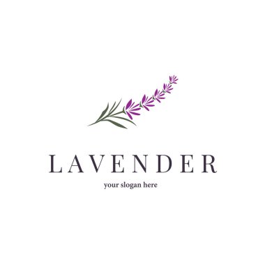 Lavanta Logosu, Basit Mor Çiçek Bitki Vektörü, Kutlama Kartı Tasarımı, Banner, Çiçek Süslemesi, Lavantalı El Çizimi Düğünü, Simge Simgesi İllüstrasyonu