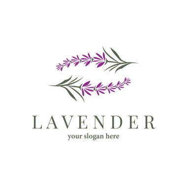 Lavanta Logosu, Basit Mor Çiçek Bitki Vektörü, Kutlama Kartı Tasarımı, Banner, Çiçek Süslemesi, Lavantalı El Çizimi Düğünü, Simge Simgesi İllüstrasyonu