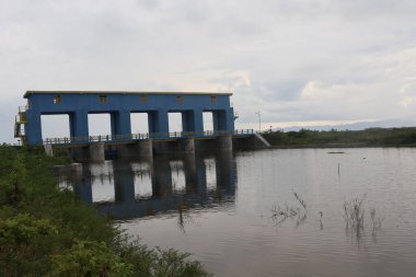 Sabahları gökyüzünün arka planına yaslanırlar.