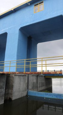 Sabahları gökyüzünün arka planına yaslanırlar.