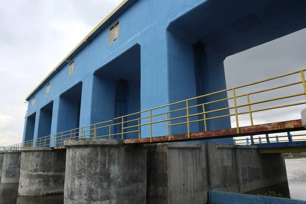 Sabahları gökyüzünün arka planına yaslanırlar.