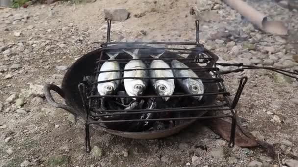 Process Making Grilled Fish Burned Coconut Shell Coals — Video Stock