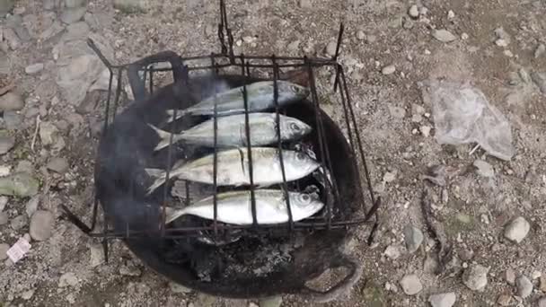 Process Making Grilled Fish Burned Coconut Shell Coals — Vídeo de Stock