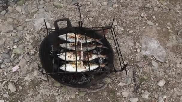 Process Making Grilled Fish Burned Coconut Shell Coals — Vídeos de Stock