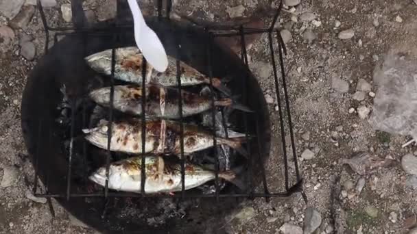 Process Making Grilled Fish Burned Coconut Shell Coals — Stok video