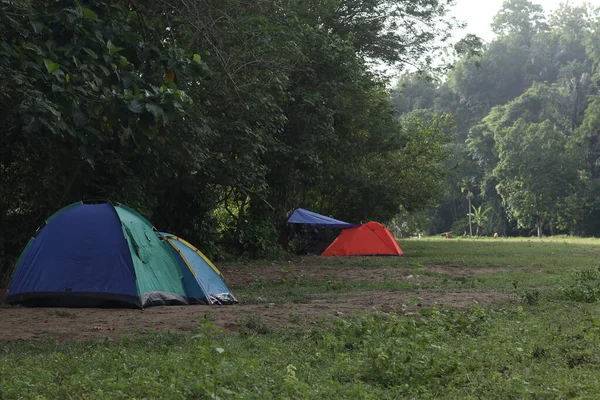 Tendas Campo Com Árvores Fundo — Fotografia de Stock