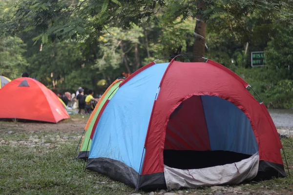 Arka planda ağaçlar olan bir çadır.
