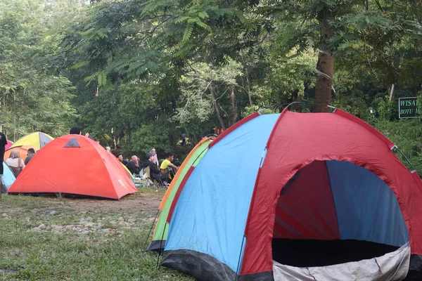 背景に木のあるフィールド内のテント — ストック写真