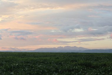 Alacakaranlık gökyüzü arka planı. Renkli günbatımı gökyüzü ve bulut. Alacakaranlık zaman arkaplanındaki canlı gökyüzü. 