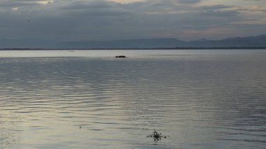 Beautiful lake in the afternoon