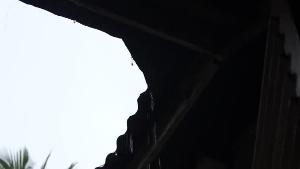 屋根瓦に豪雨 — ストック動画