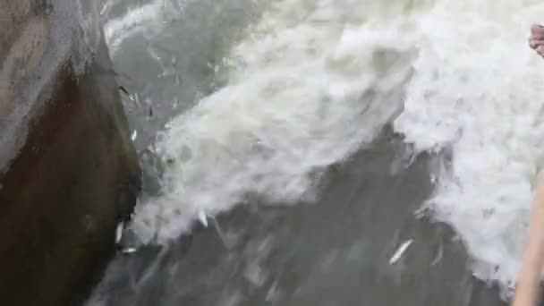 Горонтало Индонезия Ноября 2022 Года Человек Ловит Рыбу Плотине Озера — стоковое видео
