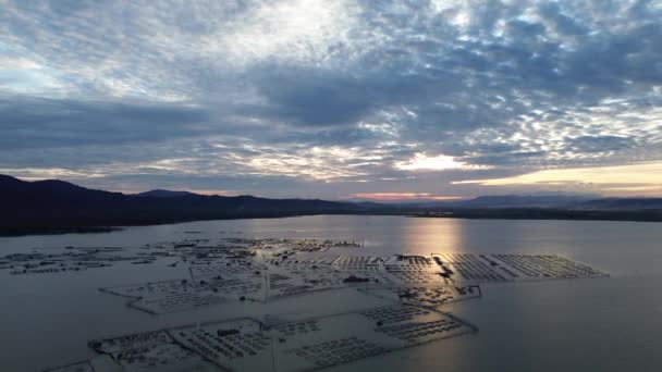 Aerial View Fish Farm Limboto Lake Evening — Stock Video