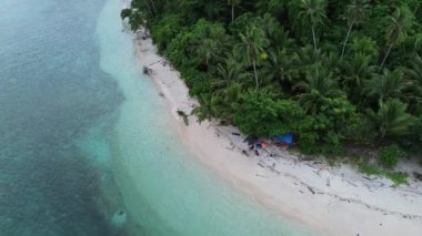 Hindistan cevizi ağaçlarıyla dolu kıyı şeridinin havadan görüntüsü. Tropikal plajları ve kristal okyanusu olan tropik bir ada. Dionumo Adası, Gorontalo, Endonezya