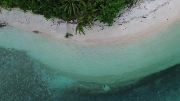 在空中俯瞰沙滩和海浪汹涌的大海 夏季沙滩上俯瞰海滩及海水的场景 — 图库视频影像