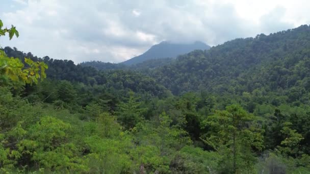 Воздушный Вид Тропических Лесов Лес Находится Зоне Национального Парка Нани — стоковое видео