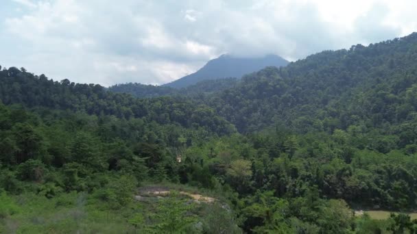 Воздушный Вид Тропических Лесов Лес Находится Зоне Национального Парка Нани — стоковое видео