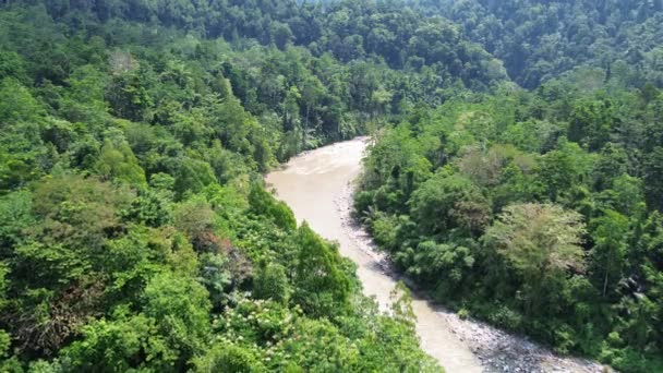 热带雨林的鸟瞰图 森林位于Nani Wartabone国家公园地区 — 图库视频影像