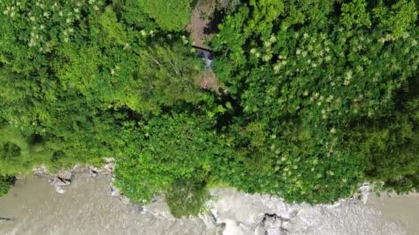 Pemandangan Udara Hutan Hujan Tropis Hutan Ini Berada Area Taman — Stok Video
