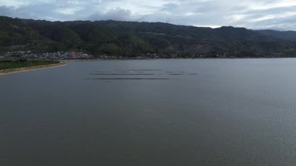Vista Aérea Sequía Golpeó Lago Limboto Gorontalo Indonesia — Vídeo de stock