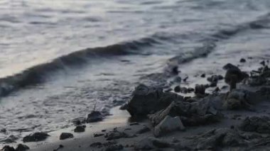 Gölde Nazik Dalgalar