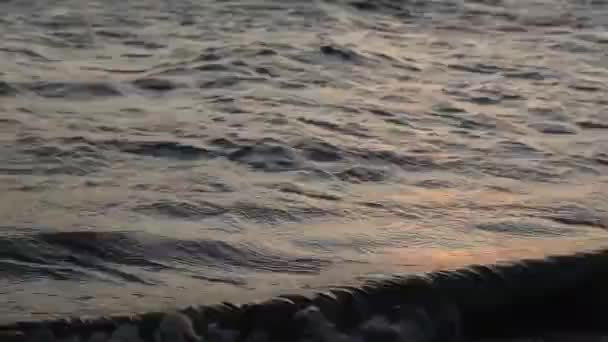 Gentle Waves Lake — Stock Video